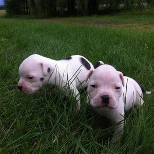 Meet your Posher, Lexi